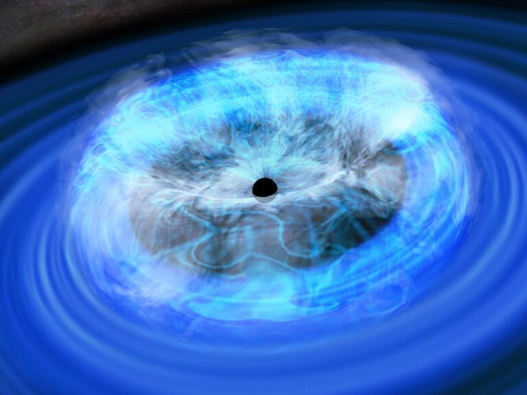 Corona-credit-RIKEN_20250903_201335.jpg