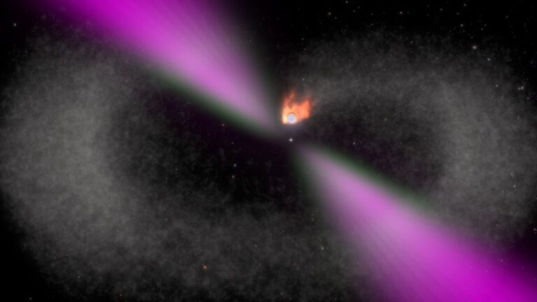 Cruz_deWilde-bwPulsar_persp.01094_20250911_111247.jpg
