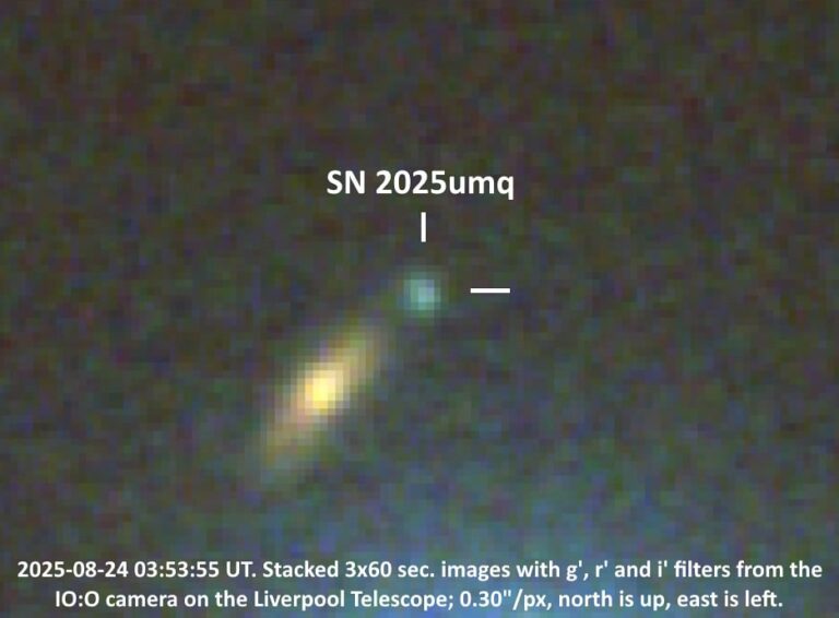 54750731391_2834df499e_b_1_20250930_164124.jpg