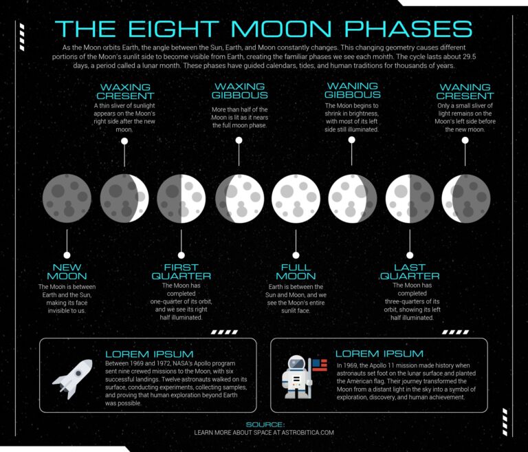 8 Moon Phases