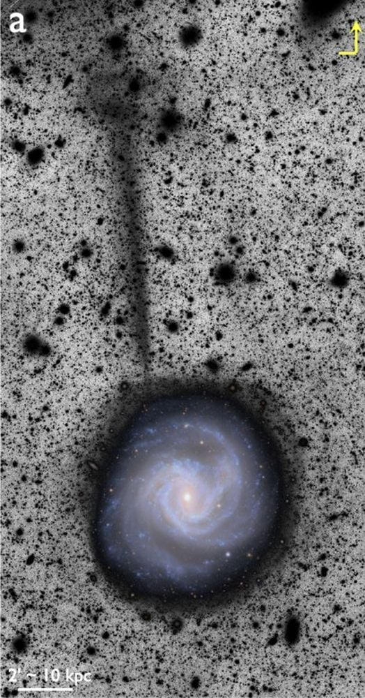 M61_Stellar_Stream_Rubin_20251030_203019.jpg