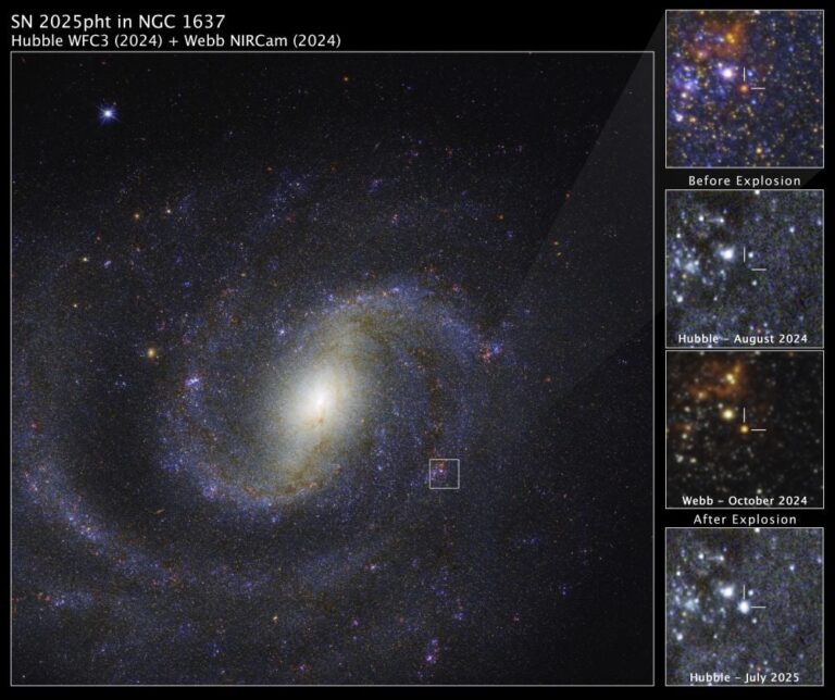 kilpatrick-STScI-01K5YFXR12QY7N3TV2E2HWCPFE-1.tif_20251022_154847.jpg