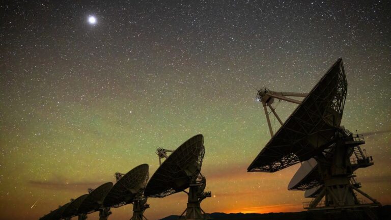 vla_20251017_153609.jpg