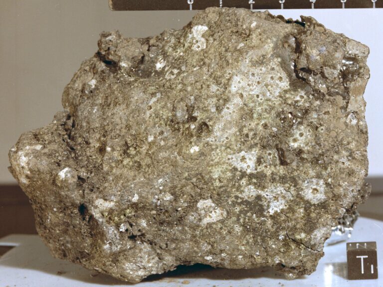 Lunar_sample_61195_S72-37972_20251111_212229.jpg