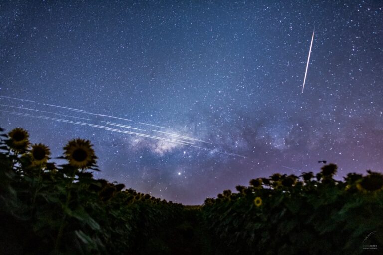 Starlink-Satellite-Trails-over-Brazil-credit-NASA_Egon-Filter.jpg