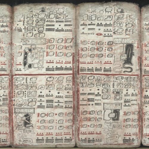codex1CROP-500x500.jpg
