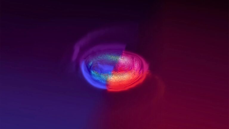 merger_20251105_180512.jpg