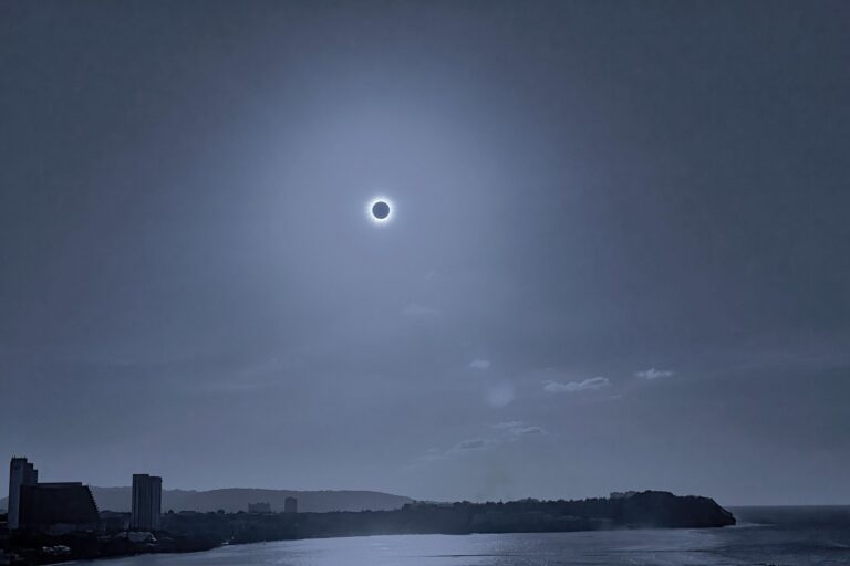 53237668194_06fe11ce82_k_20251222_153029.jpg