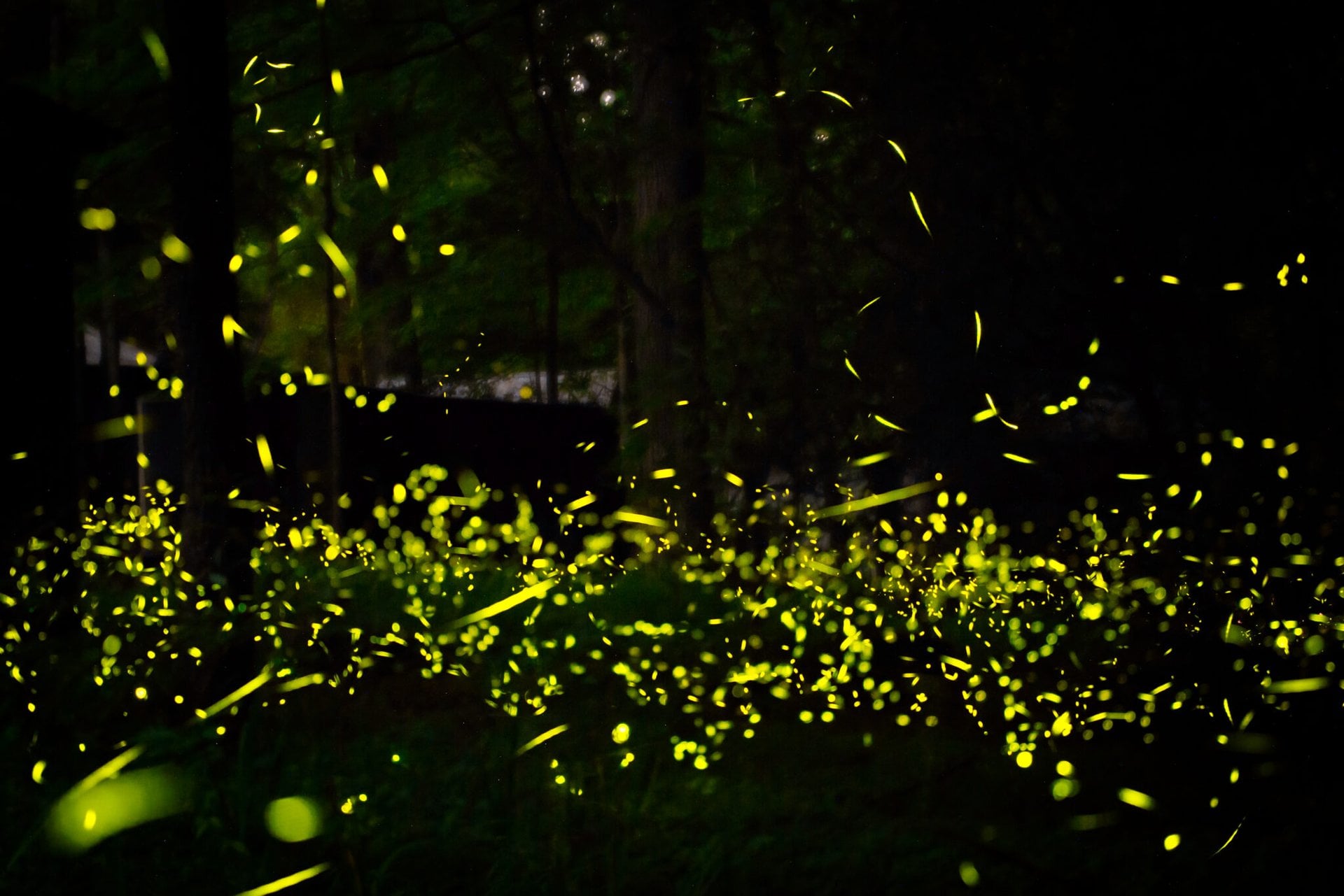 GettyImages-980012396-2048x1367_20251215_231522.jpeg