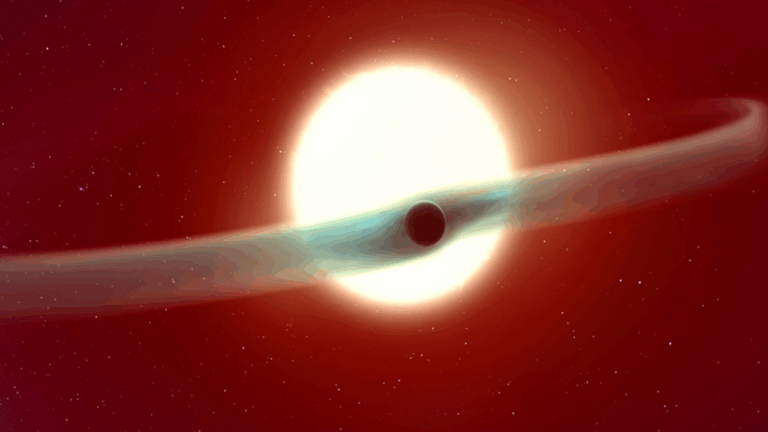 MDoHQp2ouhg8JK76Rx3DVf-1280-80.png