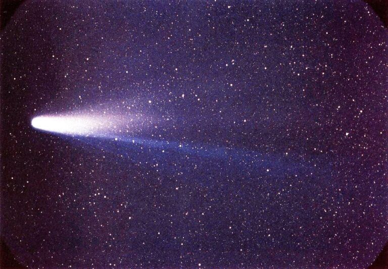 1280px-Lspn_comet_halley_20260127_224432.jpg
