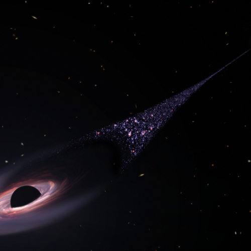 image-1-500x500.png