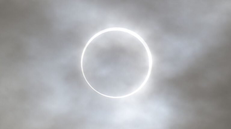 4SU8mTtEm6BRy2v3L46xPA-1280-80.jpg