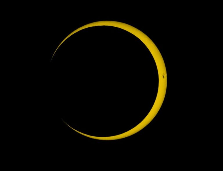 54040624645_b23806b152_c_20260213_124704.jpg
