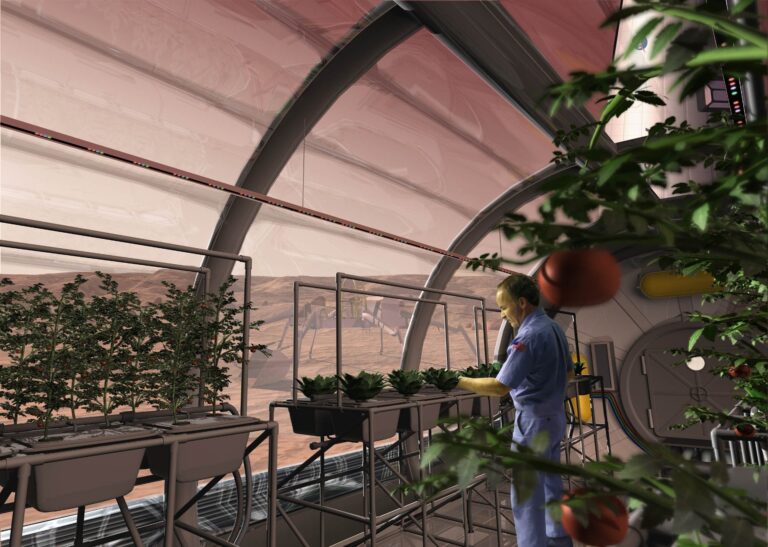 potatoes_in_space_greenhouse_20260228_200007.webp