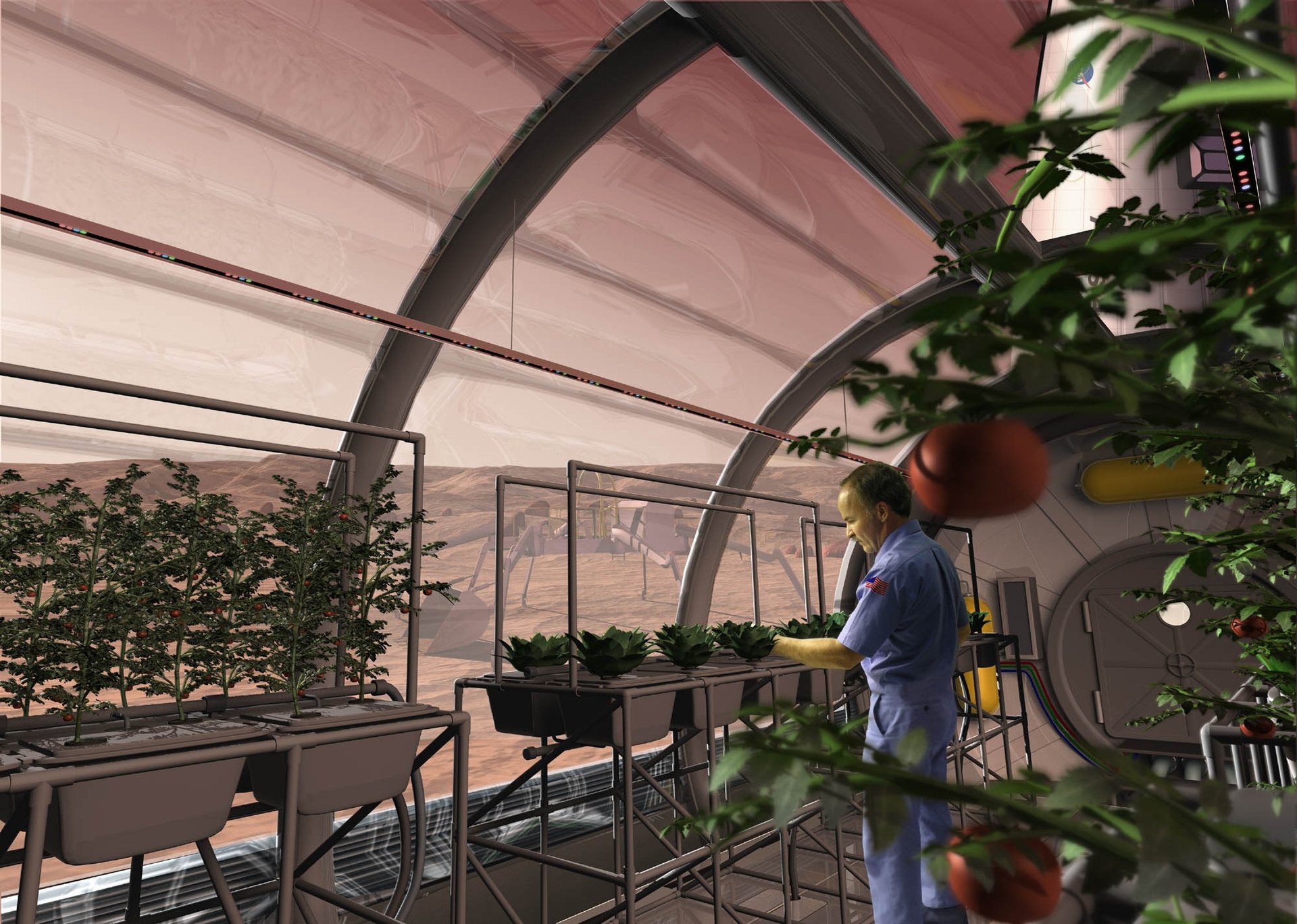 potatoes_in_space_greenhouse_20260228_200007.webp
