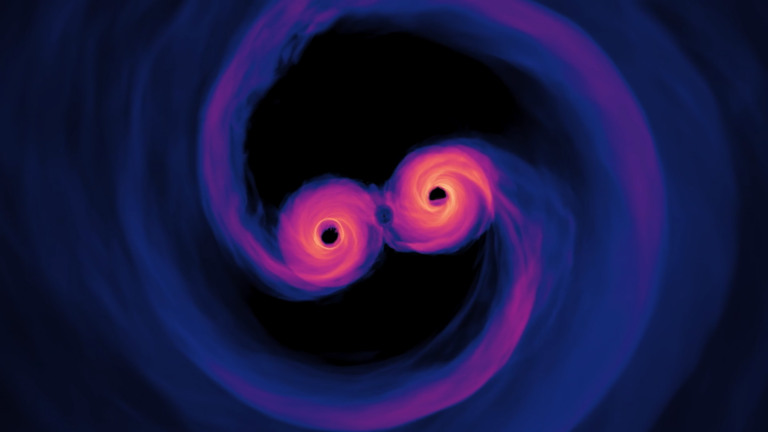 videoframe_7878_20260213_134249.png