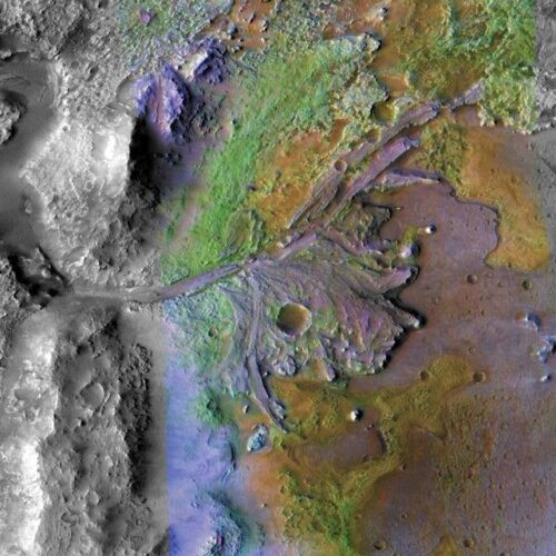 image-1-500x500.jpeg