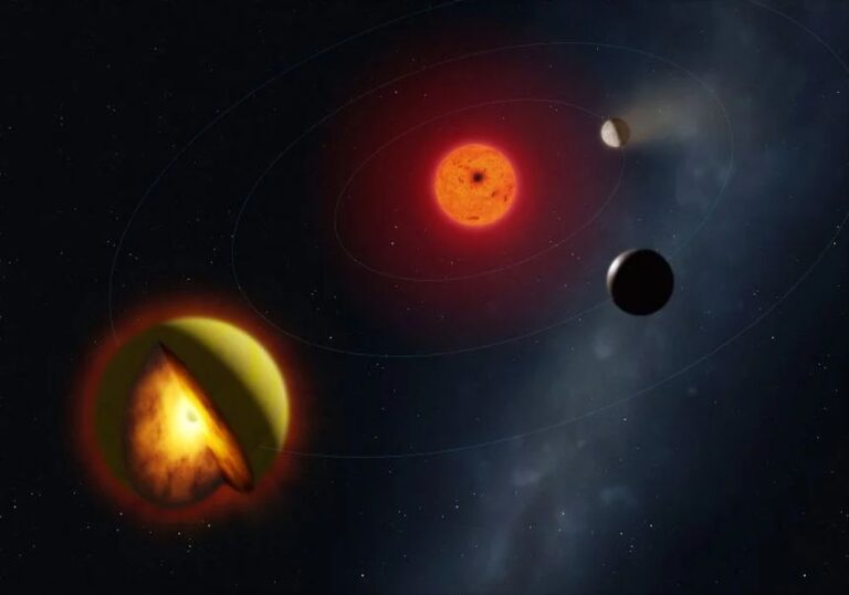 mark_garlick_illustration_v2_20260318_153536.jpg