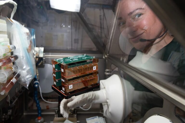 nasa-astronaut-jessica-meir-conducts-cardiac-research-49757396171-o.webp