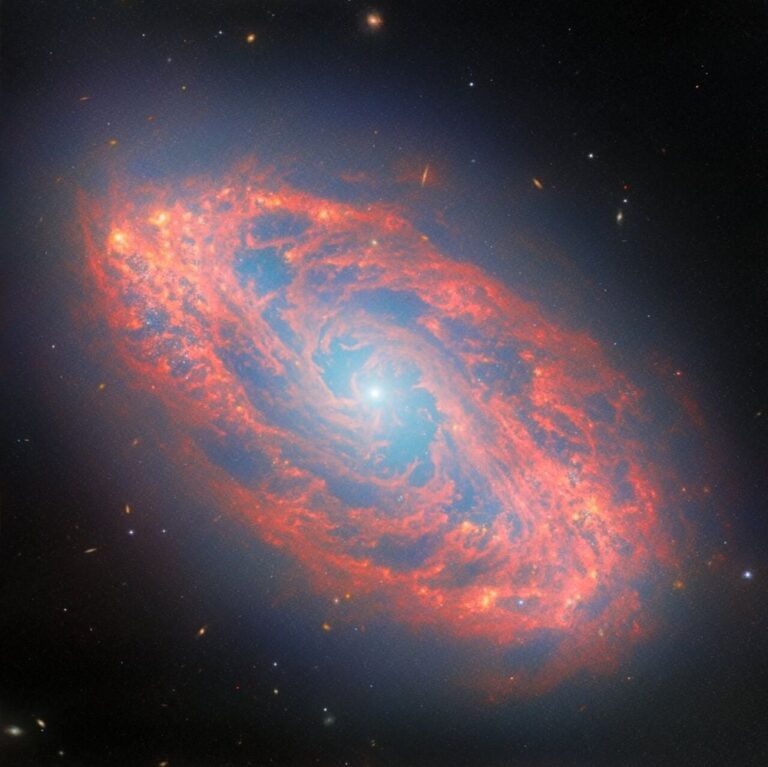 potm2602a_20260313_171615.jpg