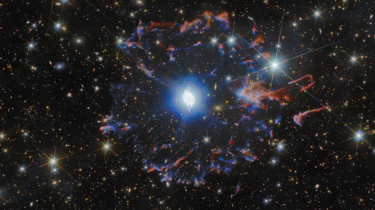 t5pyE5JzVcmhazReTphJAF-1280-80.jpg