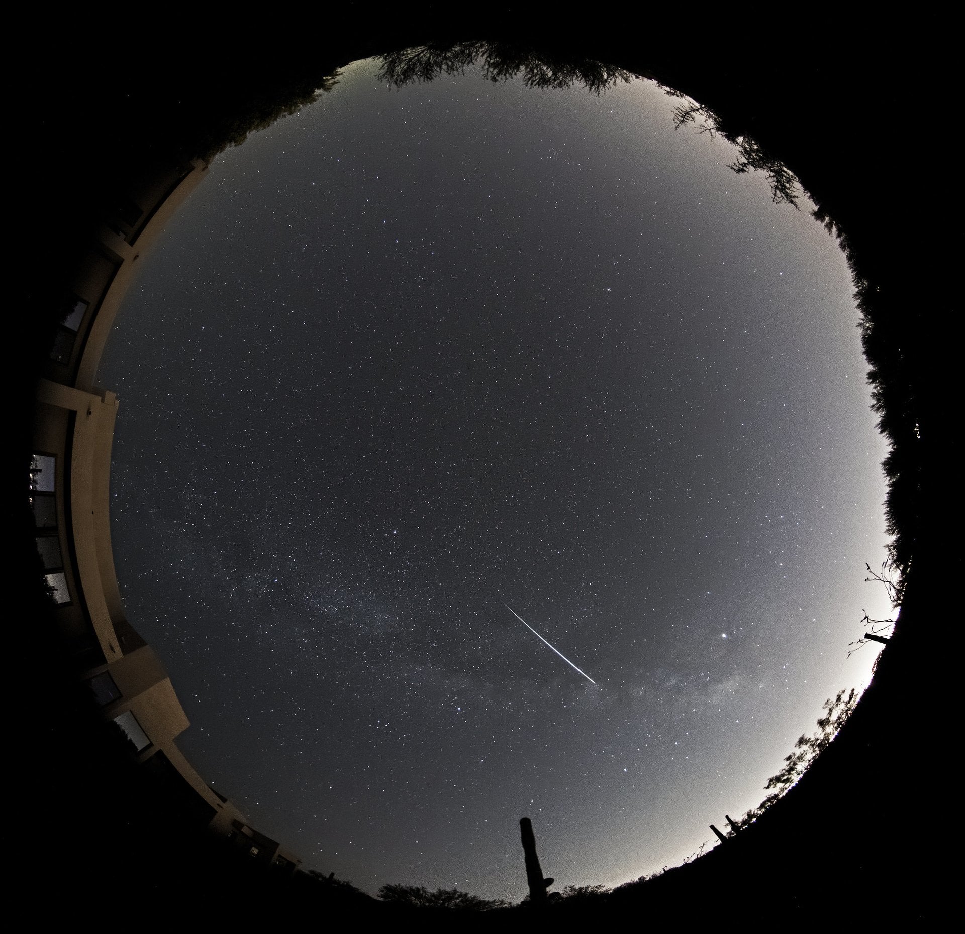 A bright Lyrid meteor over Tucson, Arizona from 2019. Credit: Eliot Herman.