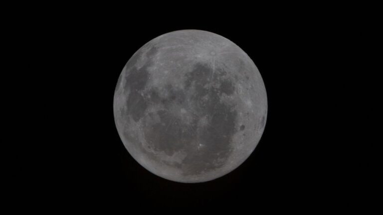 oVuH9LJDfhPZqkCkanSFrY-1280-80.jpg