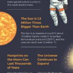 Purple Orange Illustrative The Space Fact Infographic