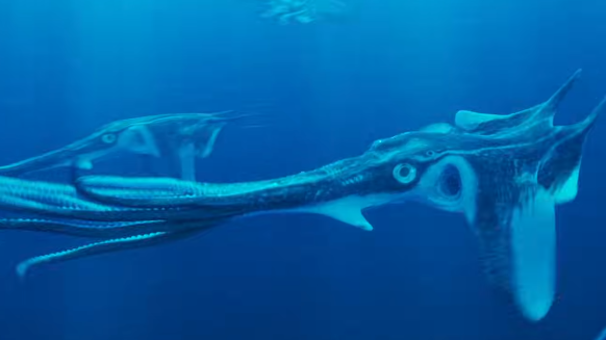 The Southern squidray, an alien squid-like creature from the movie Avatar: Fire & Ash