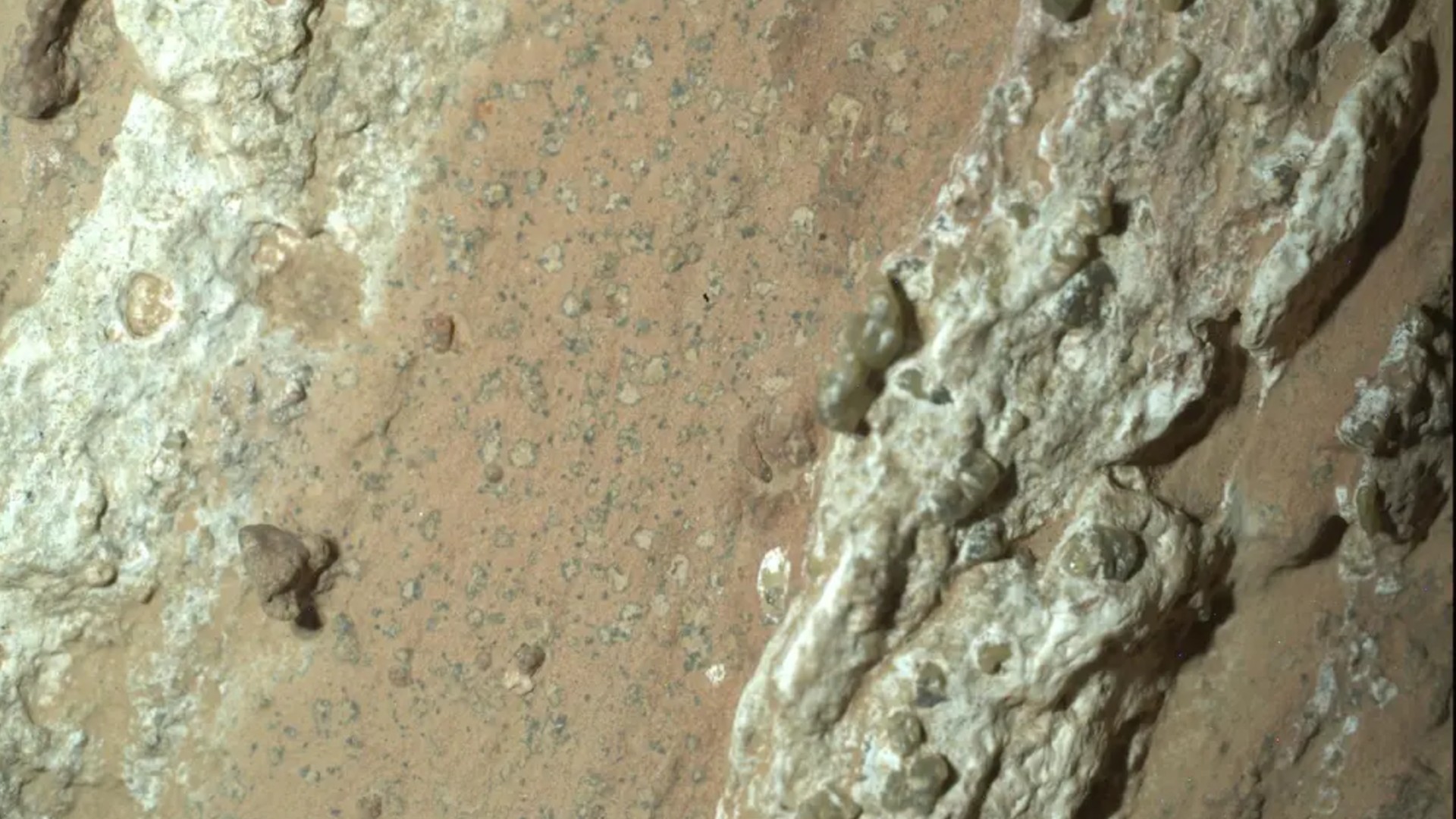 A closeup of 
