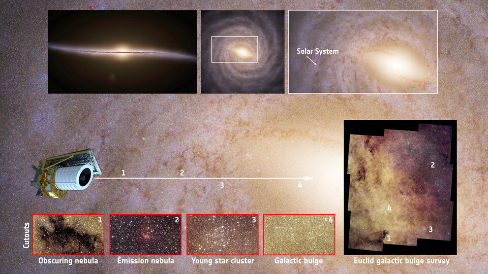 This infographic places Euclid’s galactic bulge survey in the broader context of the Milky Way’s structure, using data from ESA’s Gaia mission.