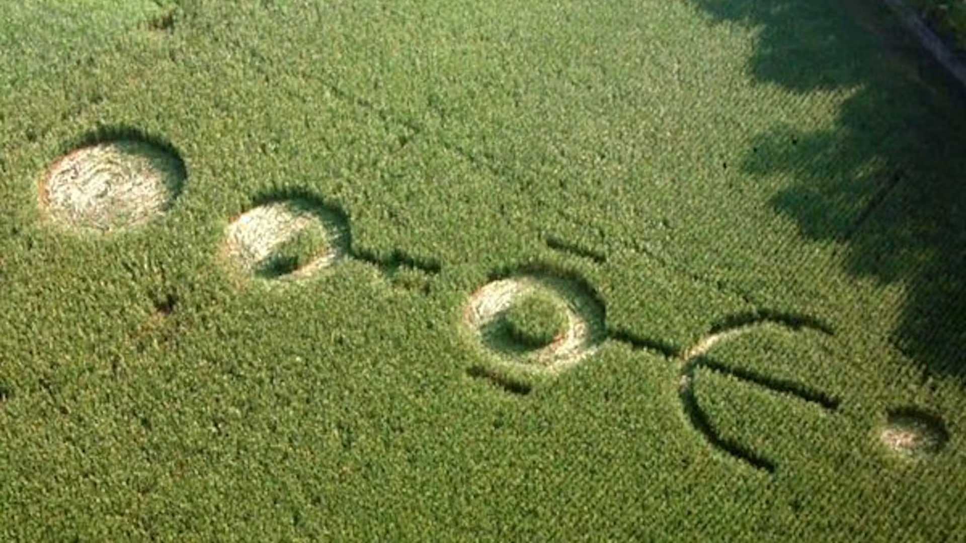 Crop circles from the movie Signs (2002)