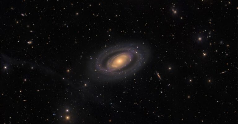 [Aggregator] Downloaded image for imported item #66922
