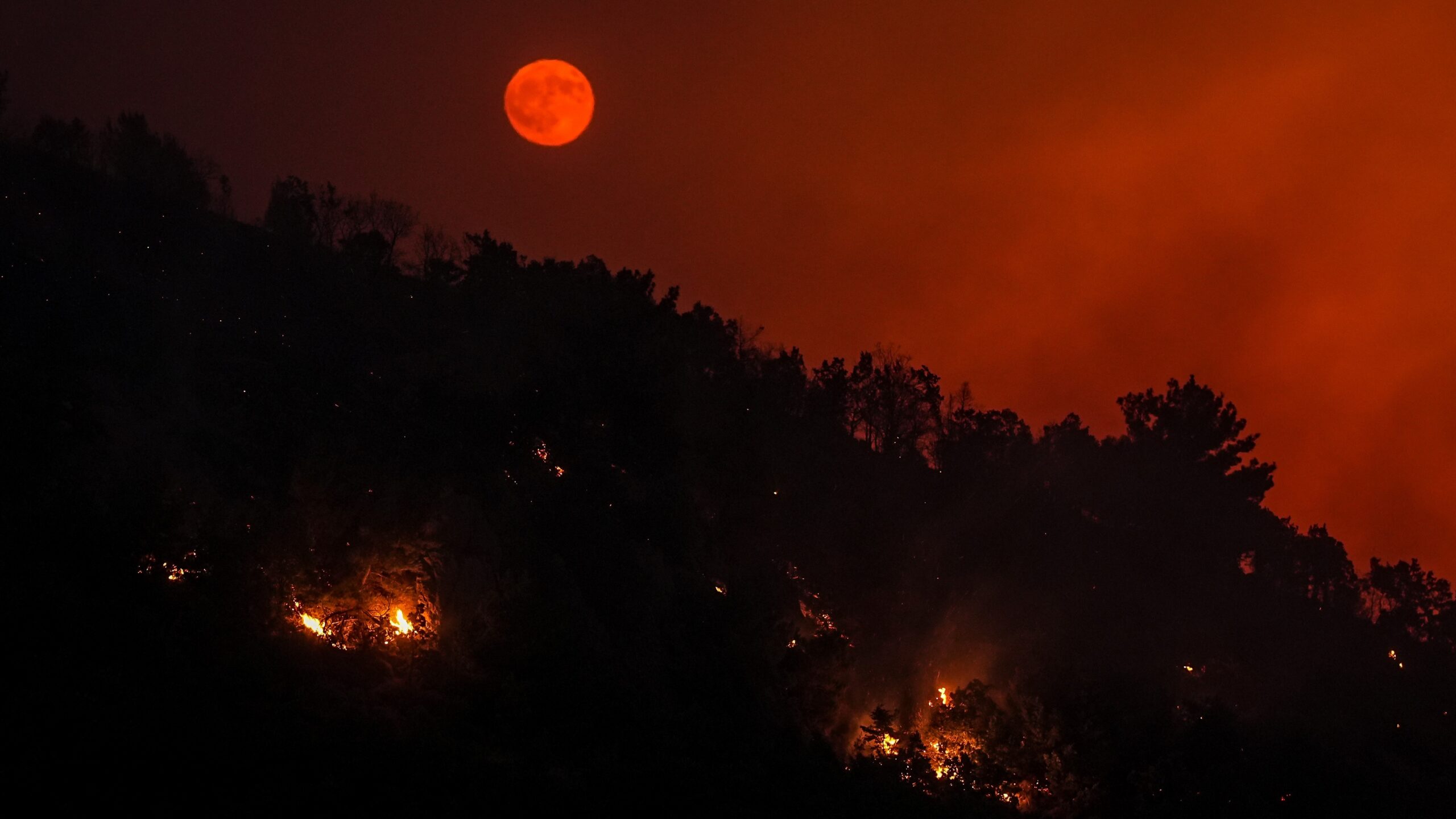 A red full moon rises above a hillside smouldering with flames at night, in a sky choked with smoke.