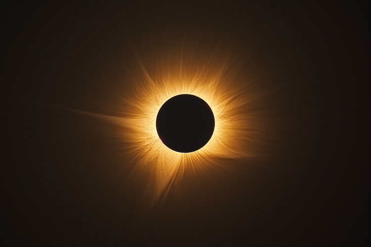 [Aggregator] Downloaded image for imported item #80059