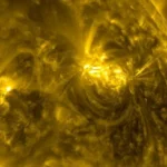 [Aggregator] Downloaded image for imported item #81801
