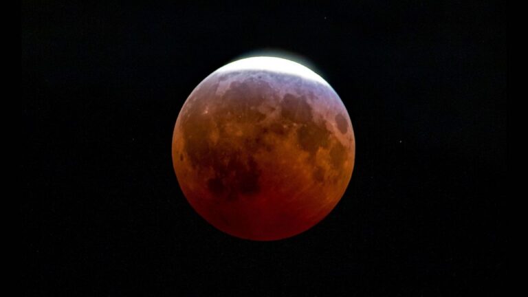 [Aggregator] Downloaded image for imported item #82088