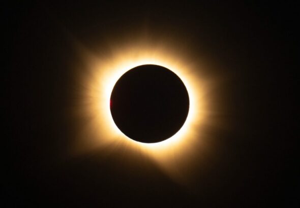 [Aggregator] Downloaded image for imported item #77702