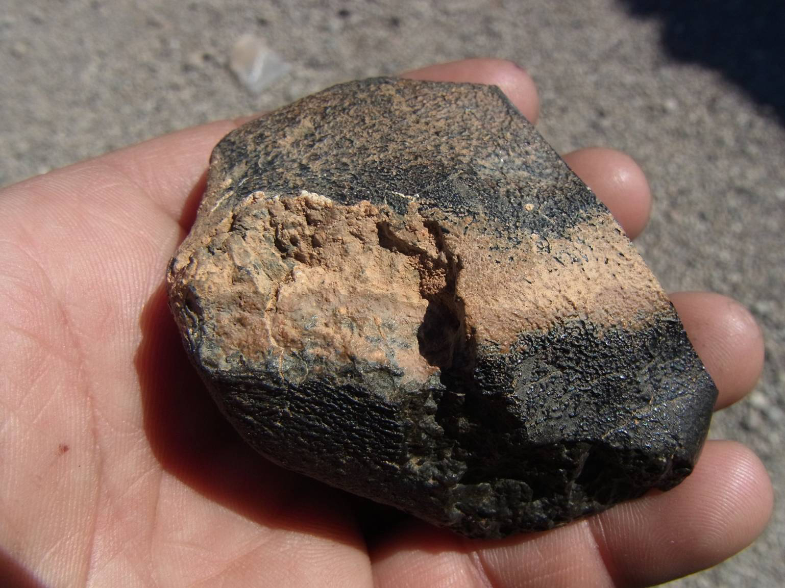 a person's hand holds a black-and-tan rock