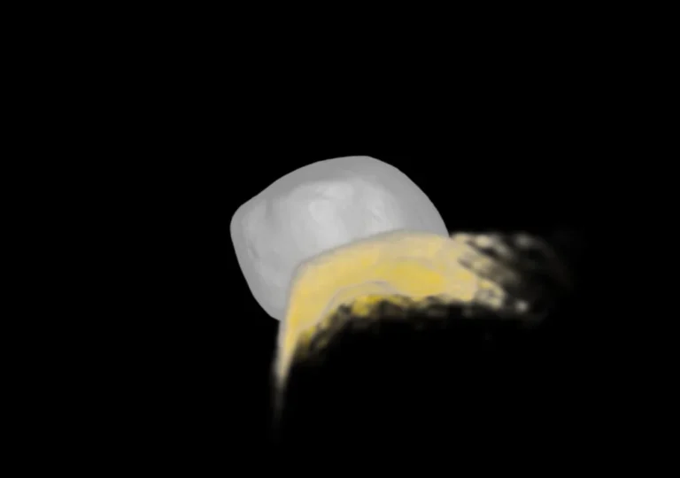[Aggregator] Downloaded image for imported item #80424