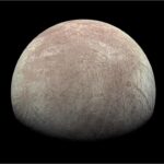 [Aggregator] Downloaded image for imported item #75516