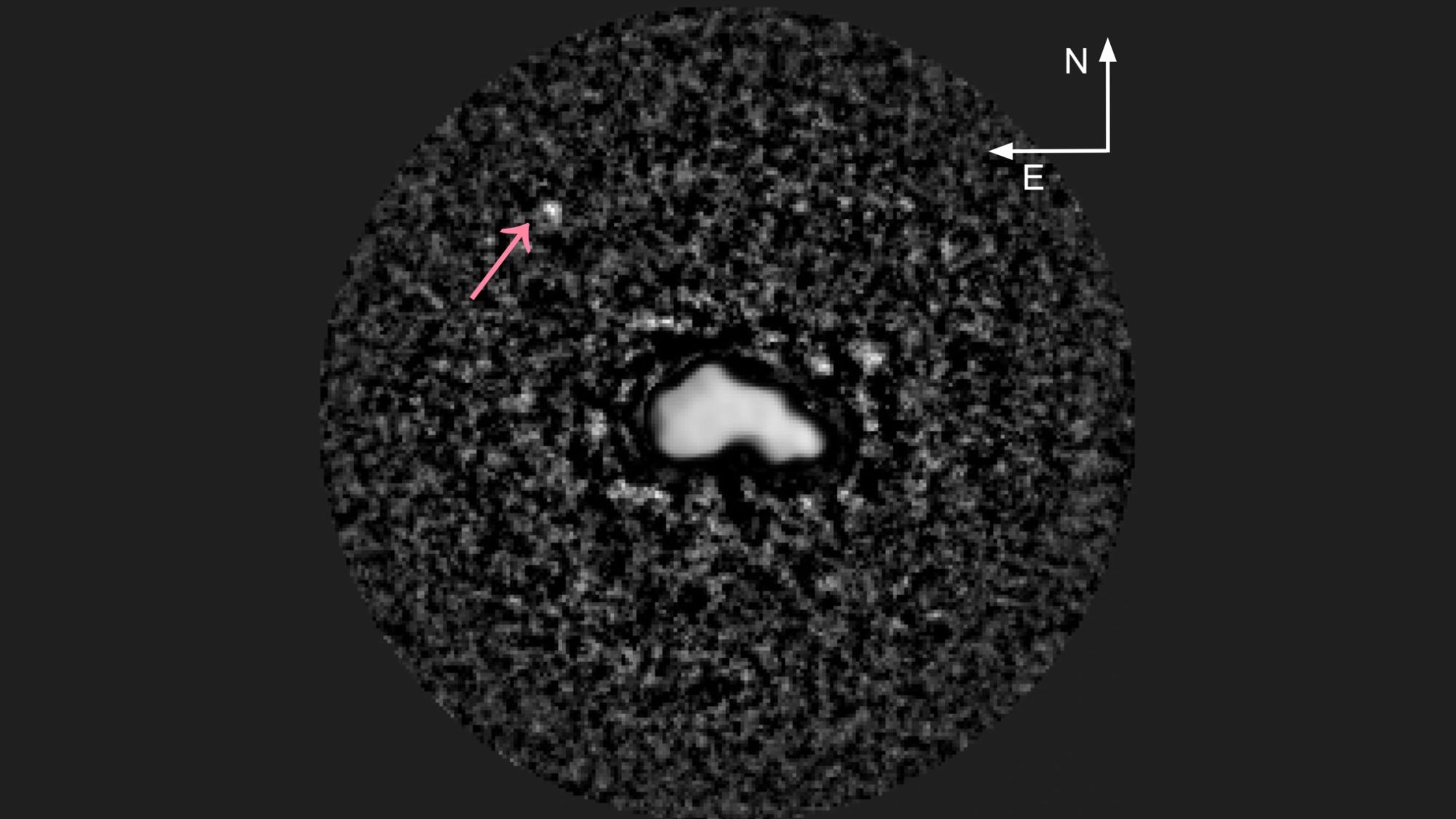 A white, blob-like object in the center of a circle that seems to have black and white dots. toward the top left within the circle, a pink arrow points to a white blob.