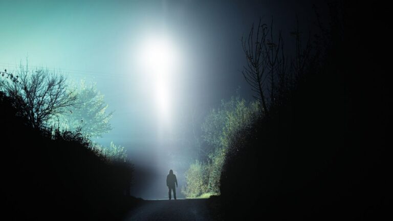 [Aggregator] Downloaded image for imported item #80774