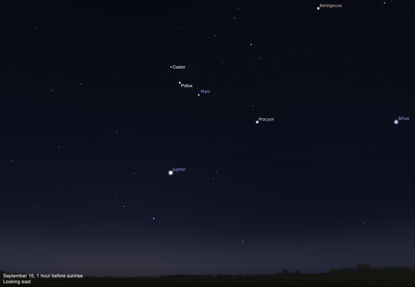 A sky chart showing the eastern sky on September 19, 2026, one hour before sunrise. Mars glows orange just to the right of Pollux in the upper center, with Castor labeled just above Pollux. Jupiter shines brightly in the lower center, Procyon is visible to the right, and Sirius glows blue-white in the upper far right. Betelgeuse glows orange in the upper right corner. The sky fades from deep blue-black above to a subtle twilight glow near the dark treeline silhouette along the bottom.