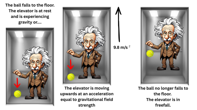 The ball falls to the floor. The elevator is at rest and is experiencing gravity or the elevator is moving upwards at an acceleration equal to gravitational field strength. The ball no longer falls to the floor. The elevator is in freefall.