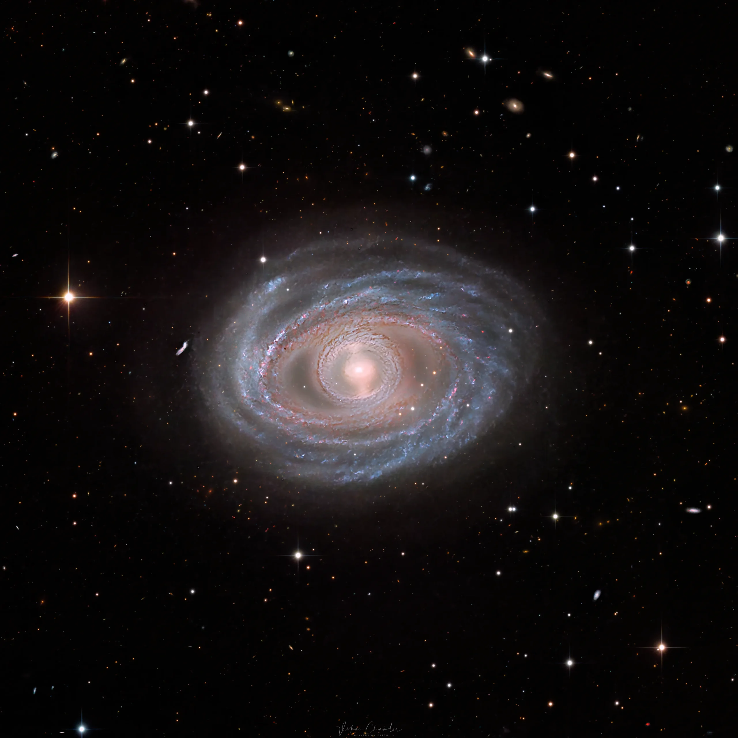 A detailed telescopic photograph of a face-on barred spiral galaxy, showing tightly wound blue spiral arms laced with pink star-forming regions surrounding a soft, glowing golden core. Several distant background galaxies are visible scattered across the black field, and a bright foreground star with diffraction spikes is visible to the left.