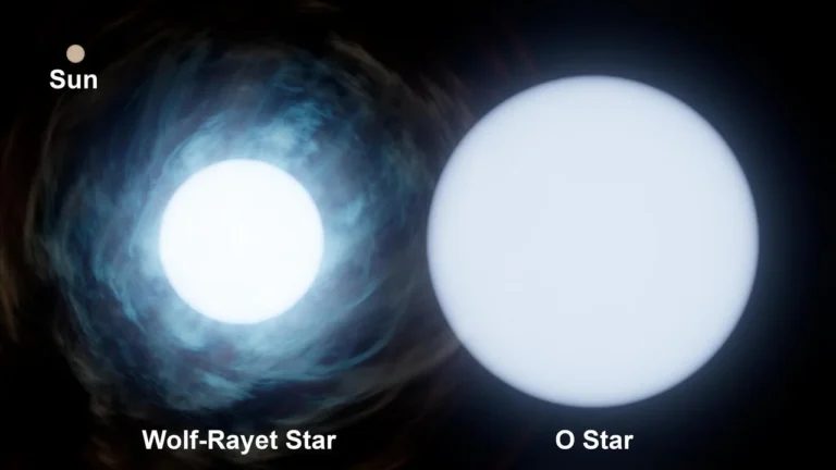 Relative size of the sun (upper left) compared to two stars in binary system Wolf-Rayet 140. O-type stars are short-lived and some of the biggest and brightest stars in the universe. Wolf-Rayet stars are O-type stars near the end of their life that release huge amounts of mass into space via stellar winds, exposing their hot, inner layers. Credit: NASA/JPL-Caltech