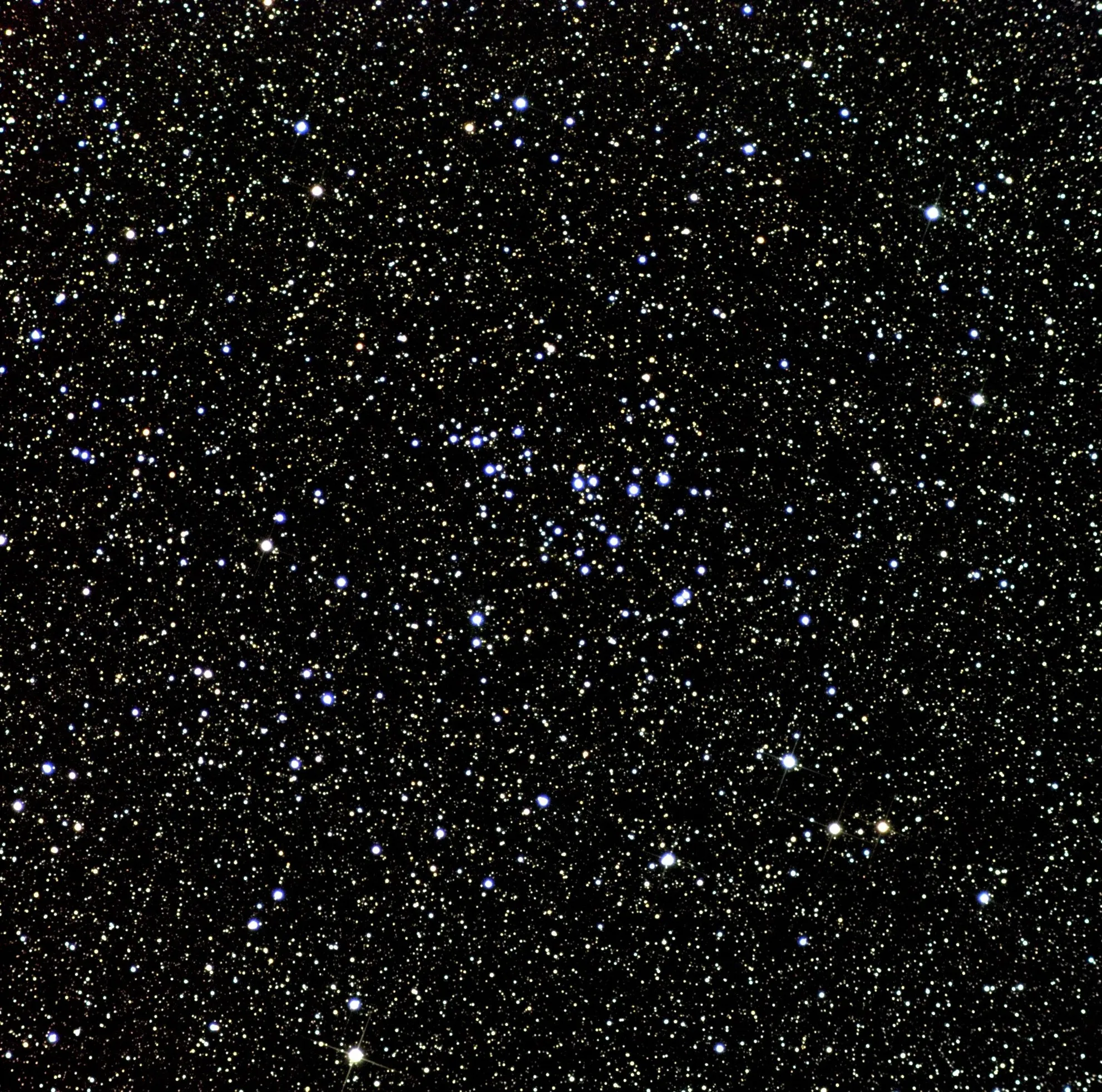 A telescopic photograph of NGC 7243, a loose open star cluster set against a densely packed star field. The cluster's members are scattered loosely near the center of the image, with a mix of bright blue-white stars standing out against a background of countless fainter yellow-white and gold stars on a black sky.