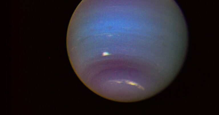 Neptune vger